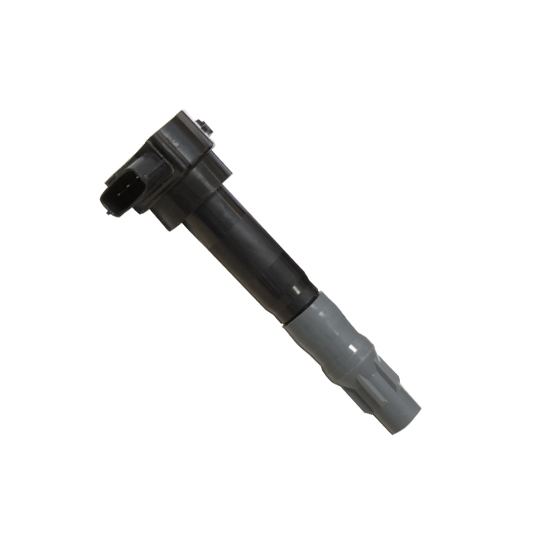 134055 - Ignition coil 