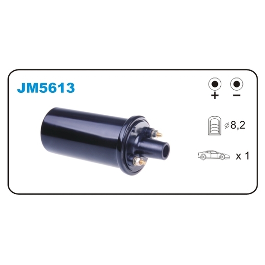 JM5613 - Ignition coil 