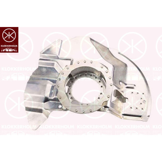 0061377 - Splash Panel, brake disc 