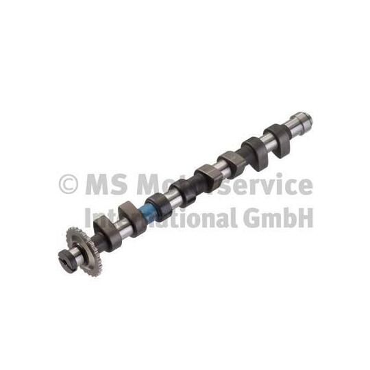 50006306 - Camshaft 