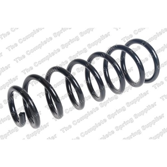 4056916 - Coil Spring 