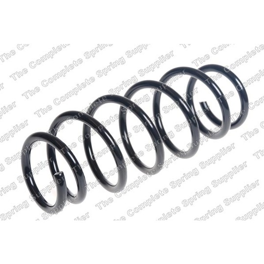 4066843 - Coil Spring 