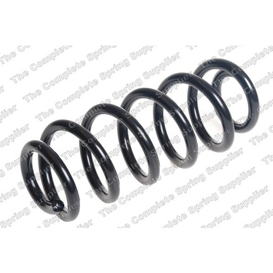 4204298 - Coil Spring 