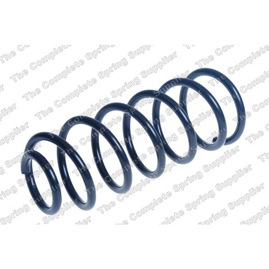 4244244 - Coil Spring 