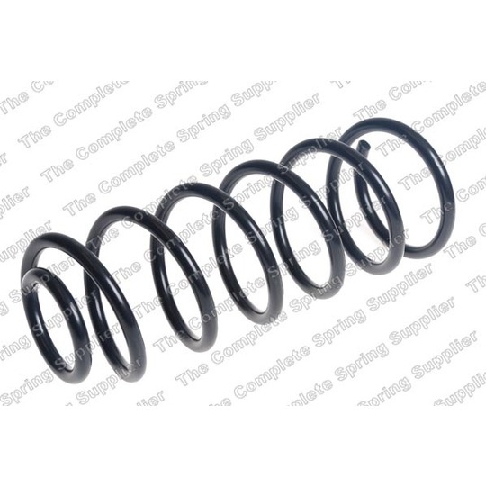 4244243 - Coil Spring 