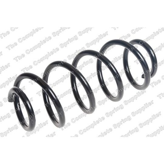 4256893 - Coil Spring 