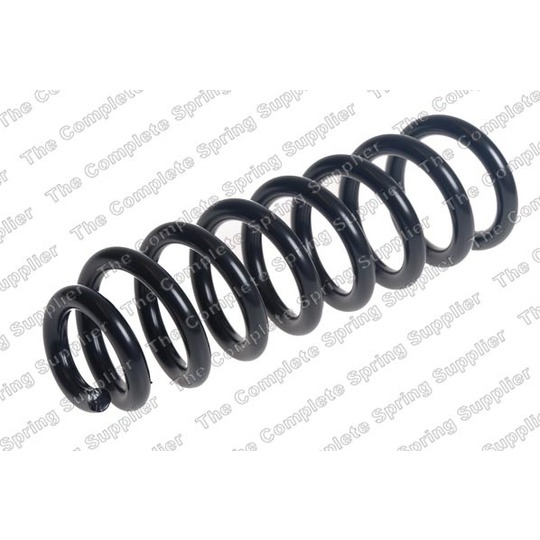 4256898 - Coil Spring 