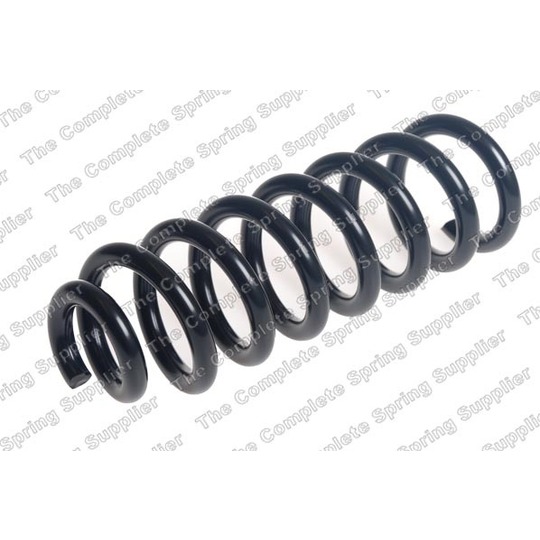 4256897 - Coil Spring 