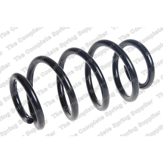 4256906 - Coil Spring 