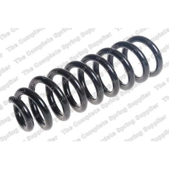 4256896 - Coil Spring 