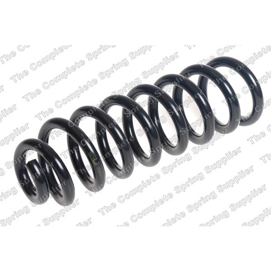 4256895 - Coil Spring 