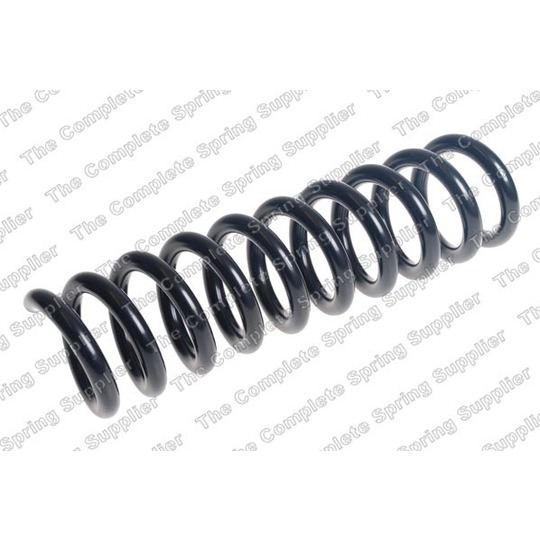 4256917 - Coil Spring 