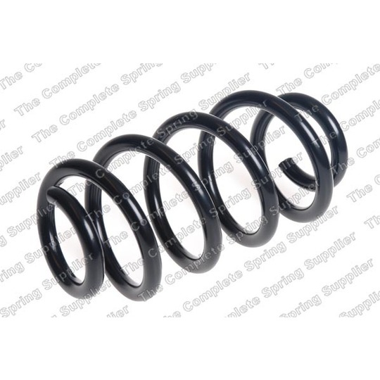 4258718 - Coil Spring 