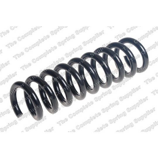 4256918 - Coil Spring 