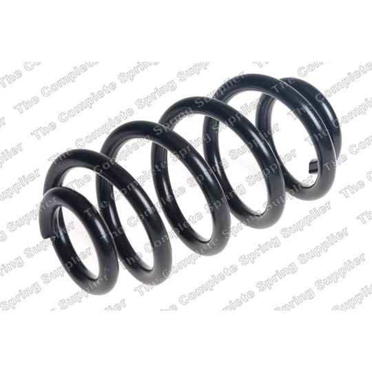 4258721 - Coil Spring 