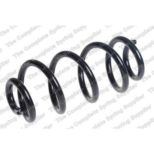 4262089 - Coil Spring 