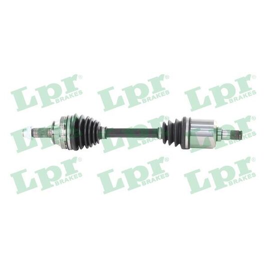 DS61019 - Drive Shaft 