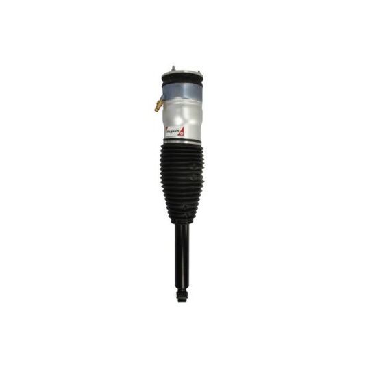 APQ002MT - Air Spring Strut 