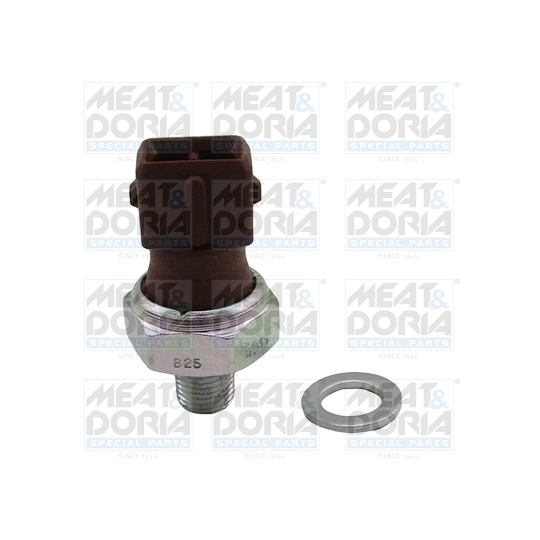 72110 - Oil Pressure Switch 