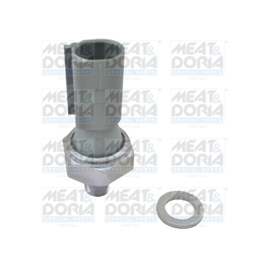 72101 - Oil Pressure Switch 