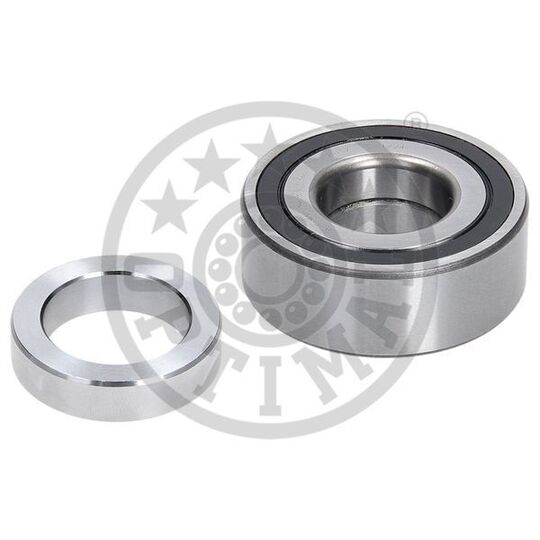 302254 - Wheel Bearing Kit 