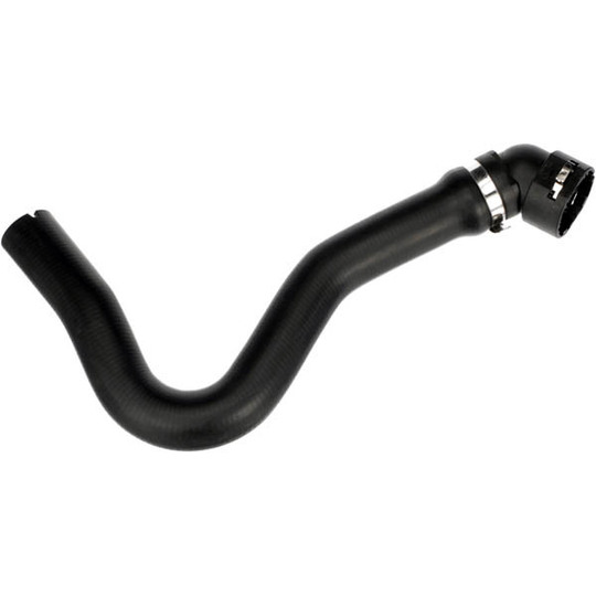 R11851 - Radiator Hose 