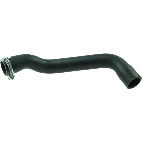 R31151 - Radiator Hose 