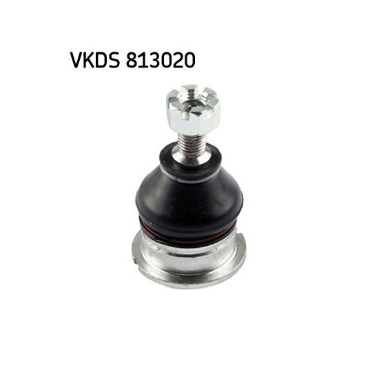 VKDS 813020 - Kande / juhtliigend 