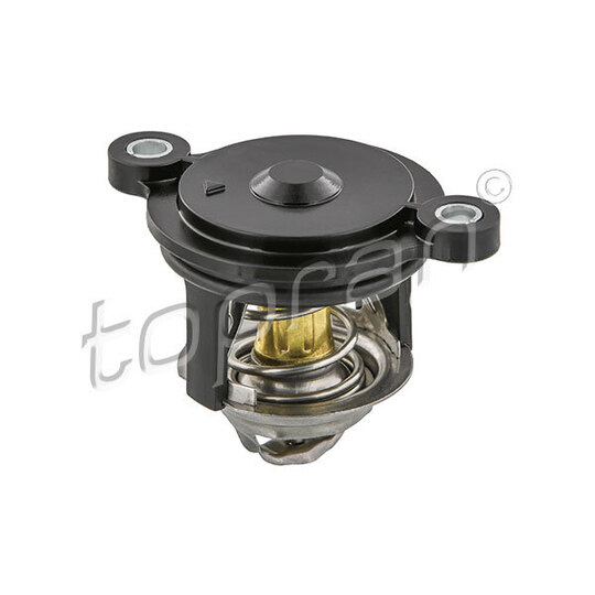 630 313 - Thermostat, coolant 