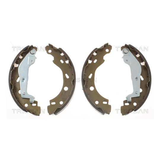 8100 10005 - Brake Shoe Set 