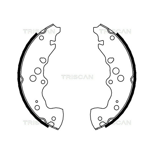 8100 69003 - Brake Shoe Set 