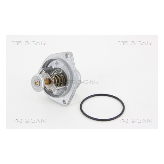 8620 29580 - Thermostat, coolant 