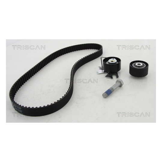 8647 10079 - Timing Belt Set 