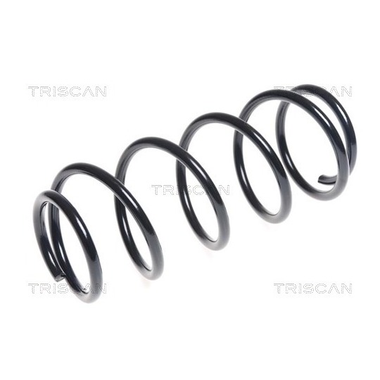 8750 1047 - Coil Spring 