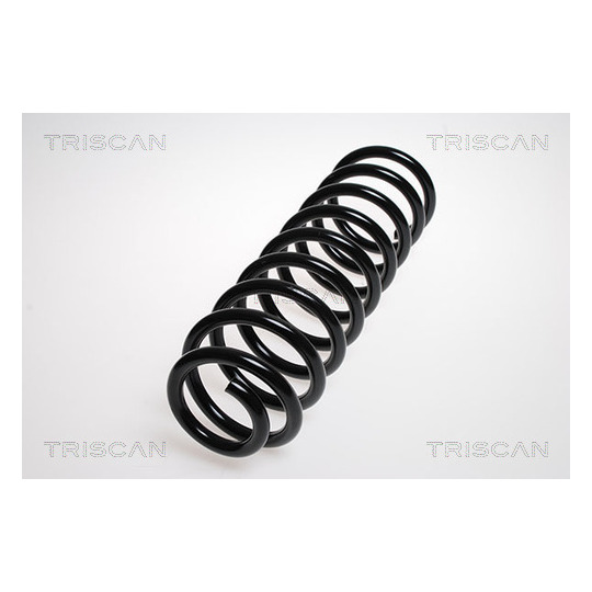 8750 1019 - Coil Spring 