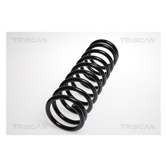 8750 1016 - Coil Spring 