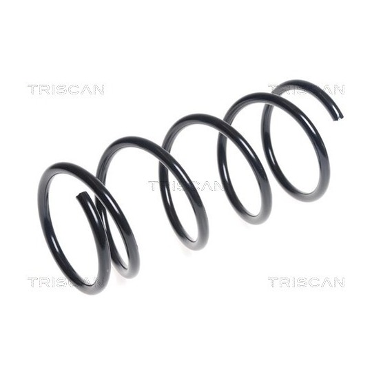 8750 1046 - Coil Spring 