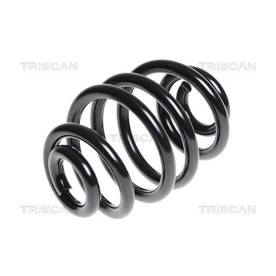 8750 11109 - Coil Spring 