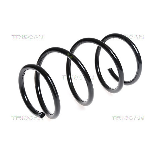 8750 11124 - Coil Spring 