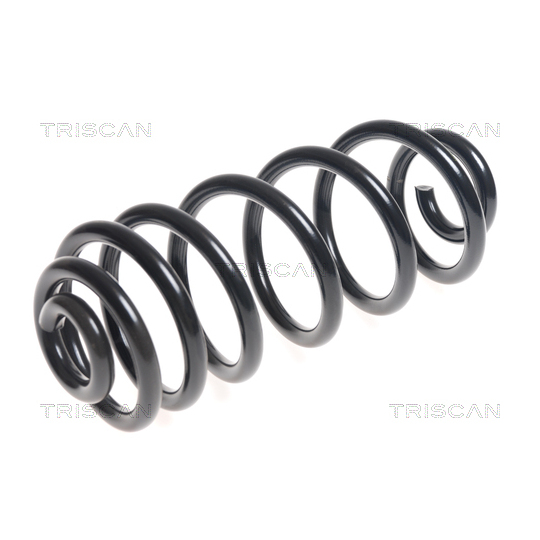 8750 11134 - Coil Spring 