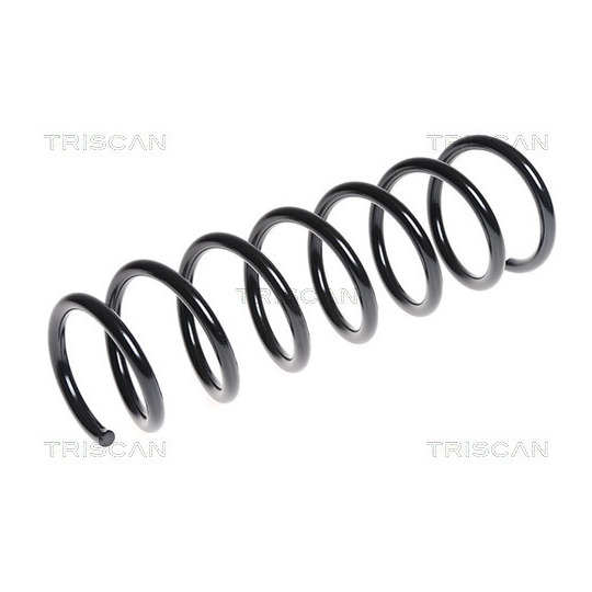 8750 11131 - Coil Spring 