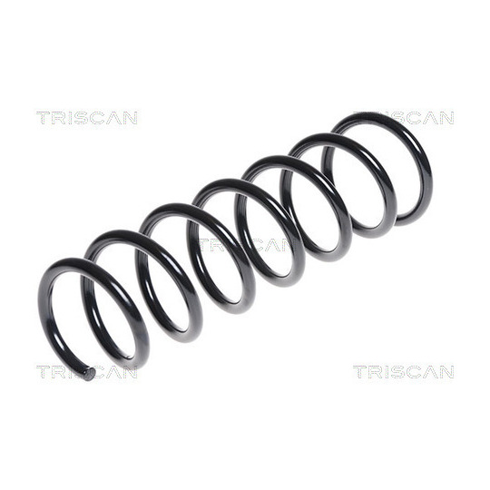 8750 11132 - Coil Spring 