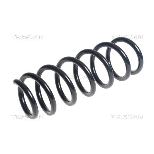 8750 11160 - Coil Spring 