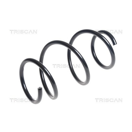 8750 11145 - Coil Spring 