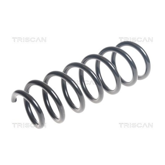 8750 11155 - Coil Spring 