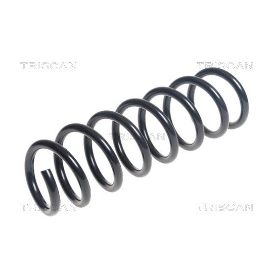 8750 11176 - Coil Spring 