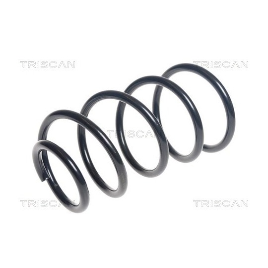 8750 11183 - Coil Spring 