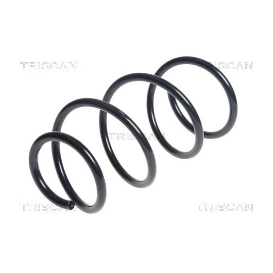 8750 11172 - Coil Spring 