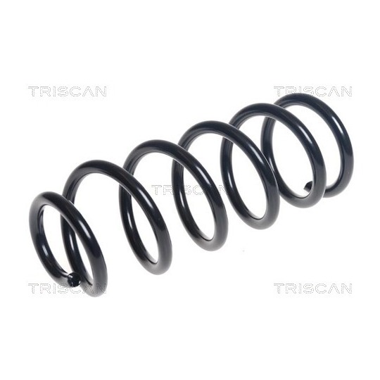 8750 11184 - Coil Spring 