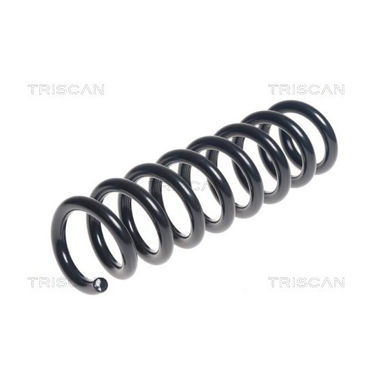 8750 11200 - Coil Spring 